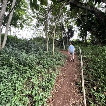Kapaia Swinging Bridge - Path to church - Parks Near Me - Lihue, Hawaii Kapaia Swinging Bridge - Path to church - Parks Near Me - Lihue, Hawaii