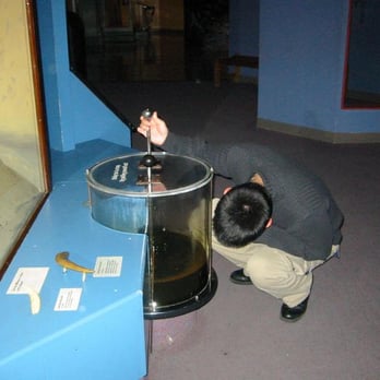 Field Museum - Museums Near Me - Chicago, Illinois Field Museum - Museums Near Me - Chicago, Illinois