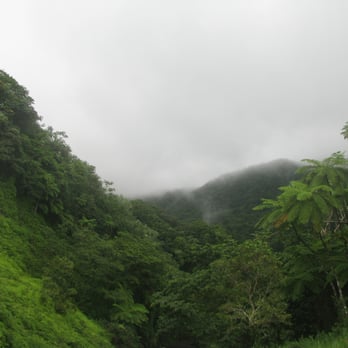 El Yunque Rainforest - Hiking Near Me - Luquillo, Puerto Rico