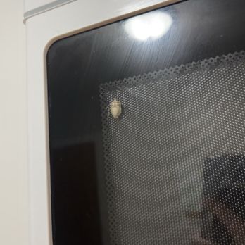 Short South Management + Development - The bug that lives in the microwave glass! Did know "new appliances" came with these!! - Property Management Near Me - Grand Rapids, Michigan Short South Management + Development - The bug that lives in the microwave glass! Did know "new appliances" came with these!! - Property Management Near Me - Grand Rapids, Michigan