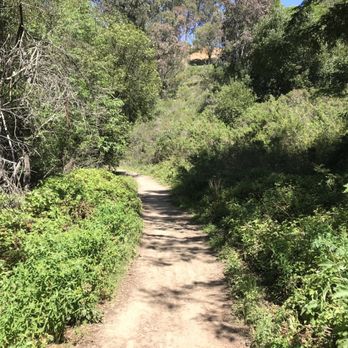 Tower Hiking Trail - Uphill - Hiking Near Me - Berkeley, California