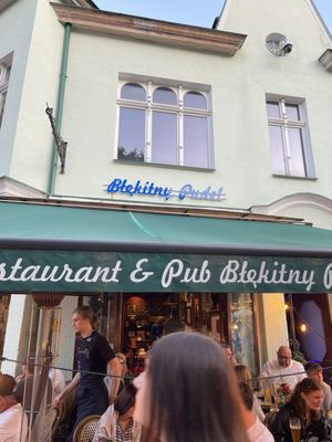 Błękitny Pudel by null