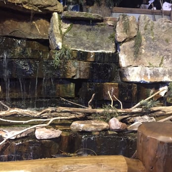 Bass Pro Shops - Wishing pond - Hunting & Fishing Supplies Near Me - Denver, Colorado
