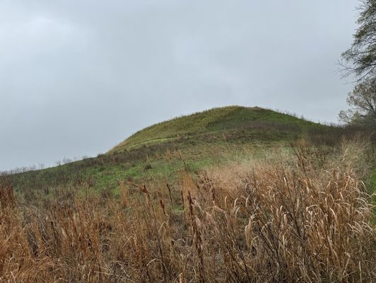 Ocmulgee Mounds National Historical Park by null