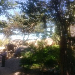 Aviario Puebla