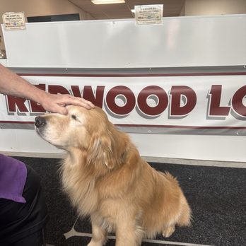 Redwood Lock - Professional Boi - Keys & Locksmiths Near Me - Rohnert Park, California Redwood Lock - Professional Boi - Keys & Locksmiths Near Me - Rohnert Park, California