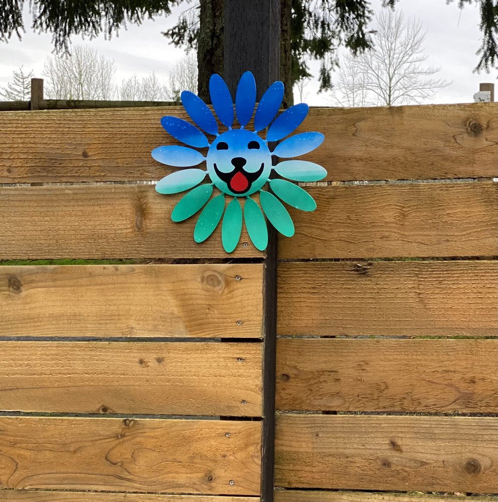 All About Pets & Behavior - pet boarding facility in Tacoma, WA