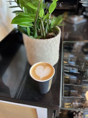 Theory Coffee Roasters by null