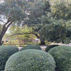 CJR Landscaping