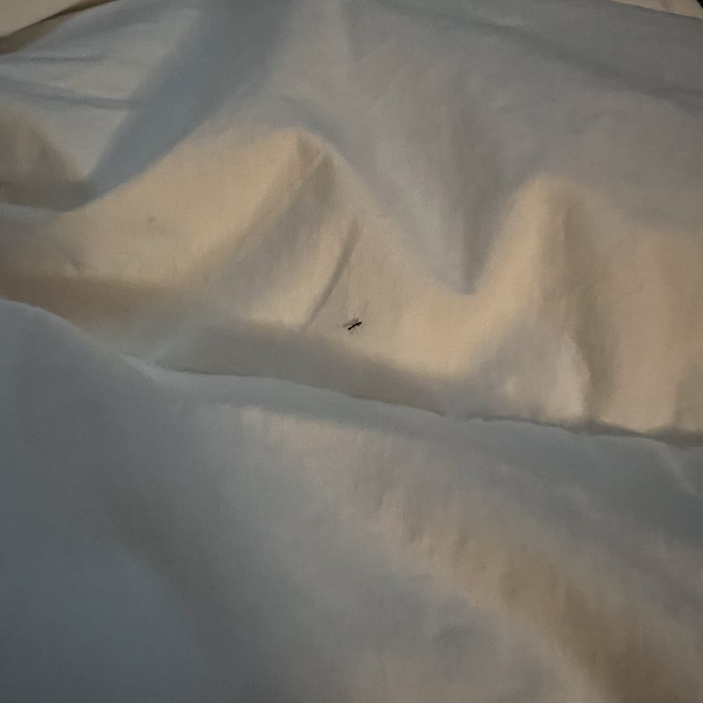 Esme Hotel Miami Beach - the ants made it into my bed - Hotels Near Me - Miami, Florida Esme Hotel Miami Beach - the ants made it into my bed - Hotels Near Me - Miami, Florida