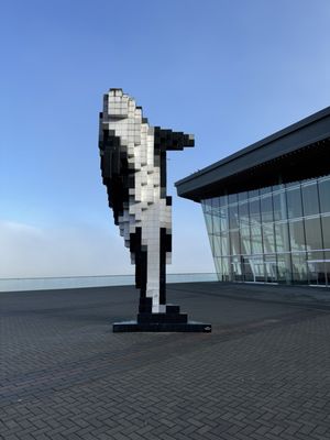 Digital Orca - Douglas Coupland by null