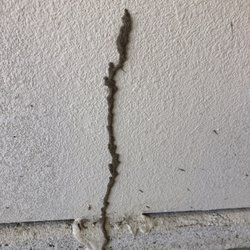 Extermin8 Pest and Termite Control