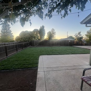 Pacific Premier Landscape Inc. - Landscaping Near Me - Castro Valley, California
