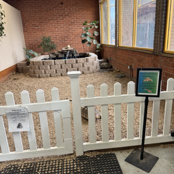 LLLReptile & Supply - Tortoise and koi pond area you can enter! - Reptile Shops Near Me - Oceanside, California LLLReptile & Supply - Tortoise and koi pond area you can enter! - Reptile Shops Near Me - Oceanside, California