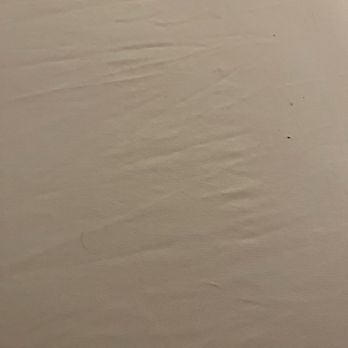 Penn's View Hotel - Hair on sheets - Hotels Near Me - Philadelphia, Pennsylvania