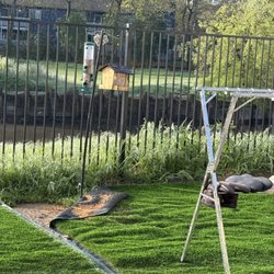 Landmark Limited - This is the wet land which the HOA is supposed to take care of and look at how ridiculous it looks because they are not doing their job.