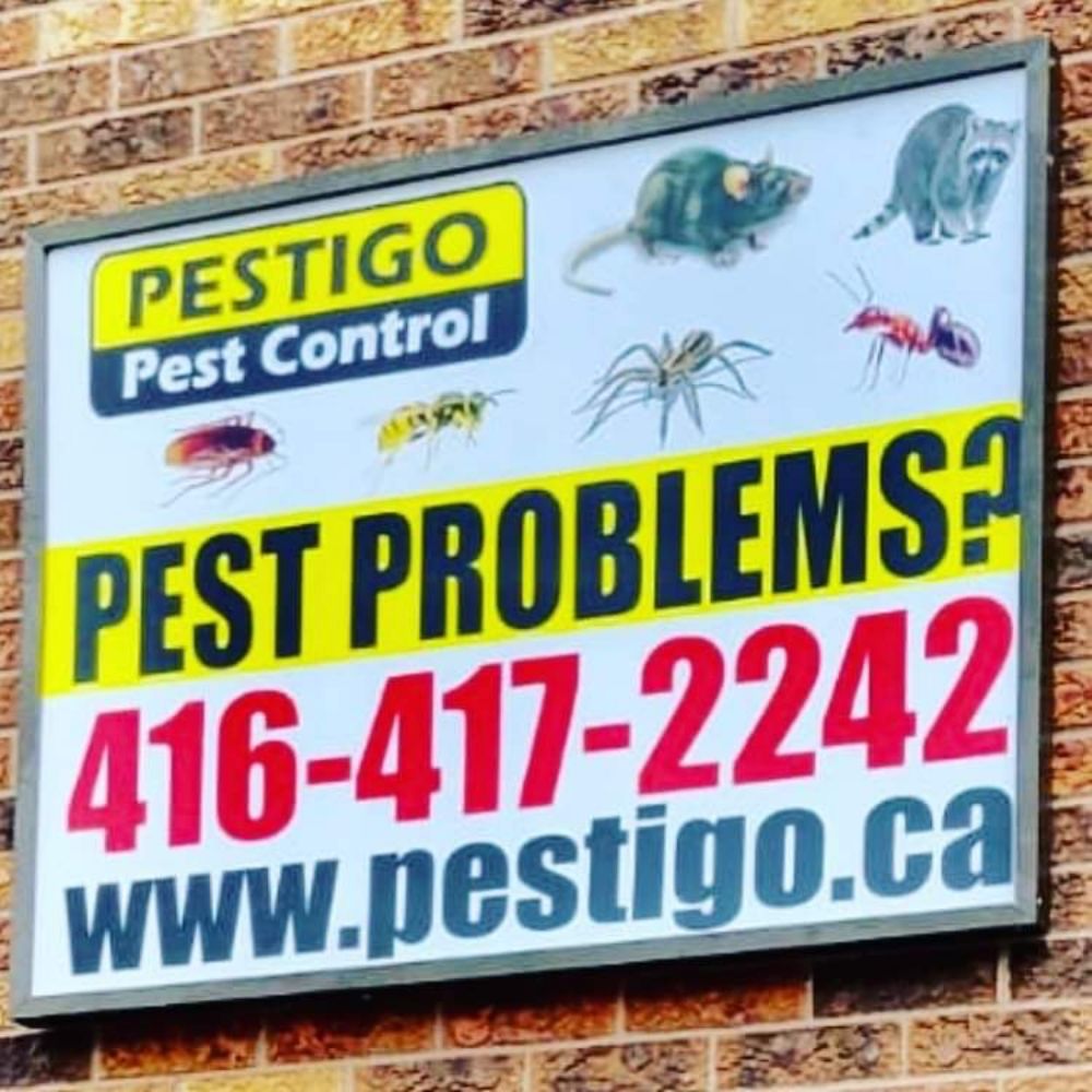 PESTIGO PEST CONTROL Updated August 2024 7 Crescent Pl, Toronto