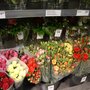 Photo of Kukkakauppa Leena Ja Erkki Markkanen