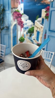 Go Greek Yogurt by null