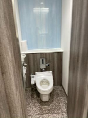 All Nippon Airways by null