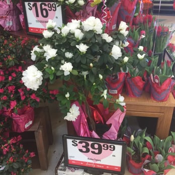 Ralphs - Beautiful .. But....$$$ - Grocery Near Me - Chula Vista, California Ralphs - Beautiful .. But....$$$ - Grocery Near Me - Chula Vista, California