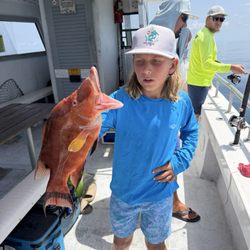 My grandson's first hogfish