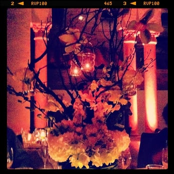 Vivian Colls Events - Manzanita tree with orchids and hanging lights - Wedding Planning Near Me Vivian Colls Events - Manzanita tree with orchids and hanging lights - Wedding Planning Near Me