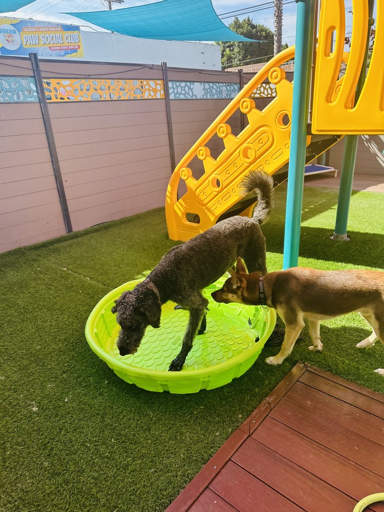 SOUTH PARK DOGGIE DOGGIELAND LA 822 Photos & 124 Reviews 147 W