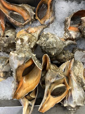 99 Ranch Market by null