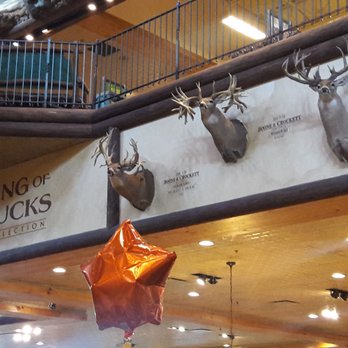 Bass Pro Shops - Home Decor Near Me - Leeds, Alabama Bass Pro Shops - Home Decor Near Me - Leeds, Alabama