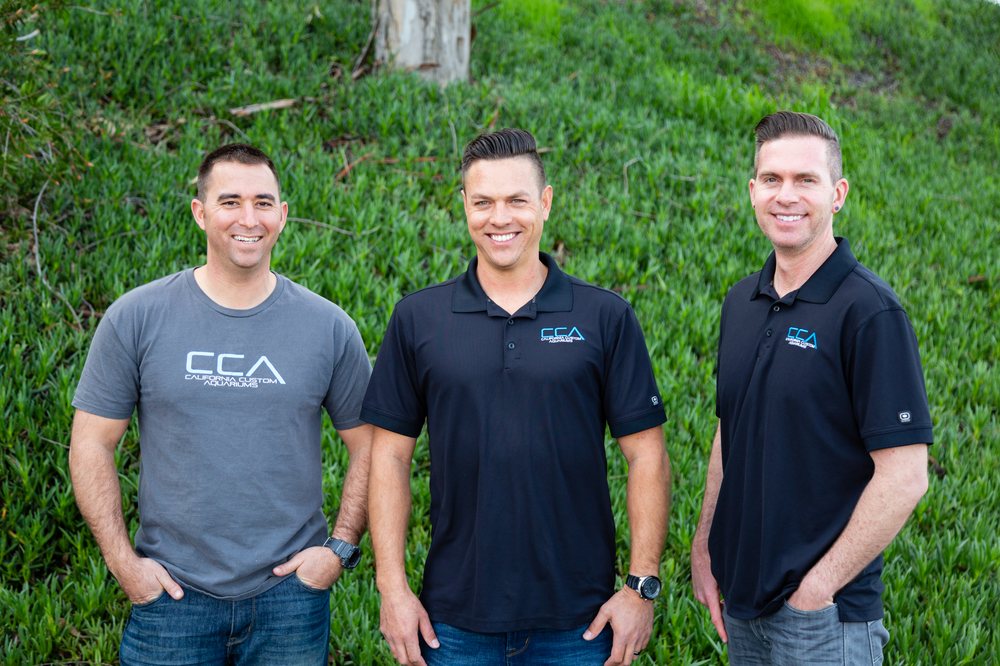 CALIFORNIA CUSTOM AQUARIUMS Updated October 2024 50 Photos & 15