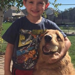 The Dog Boss, Mason City