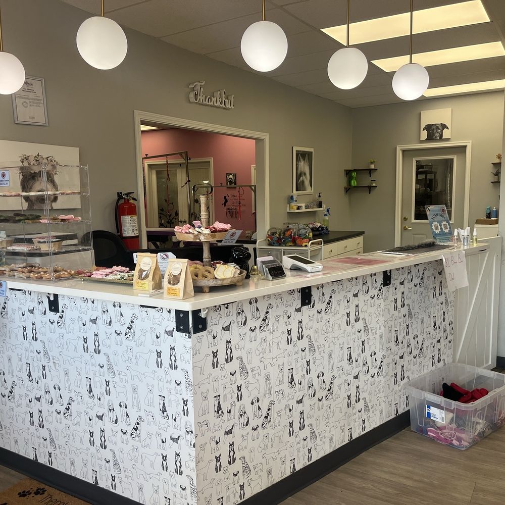 Small Dog Grooming Salon Ideas: Transform Your Space Today