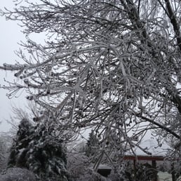 The Big Freeze The Big Freeze