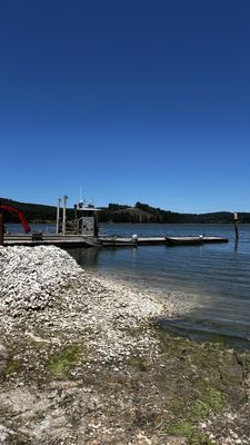 Clausen Oysters by null