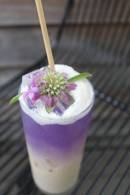 Wildcrafters Booze-Free & Kava Bar by null