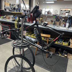 Bicycle Central - Bike fix.