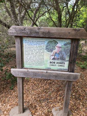 Bob Jones Trail Head by null