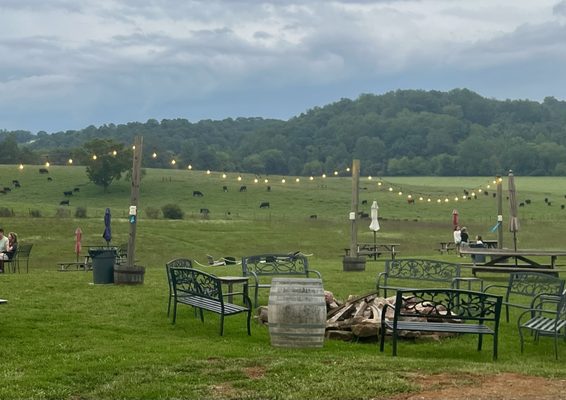 Bald Top Brewing Co. by null