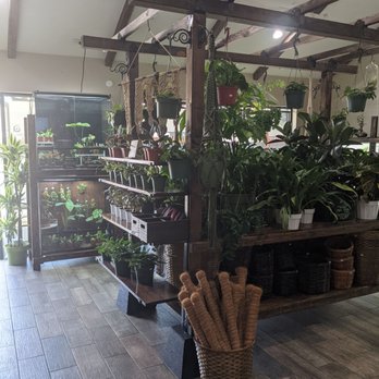 Mundial Coffee - The plants are lovely! - Coffee & Tea Near Me - Riverside, California Mundial Coffee - The plants are lovely! - Coffee & Tea Near Me - Riverside, California