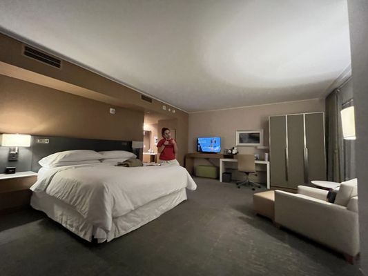 The Westin Denver International Airport by null