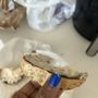 Photo of Lula Bagel
