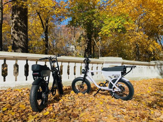 zugo bike speed