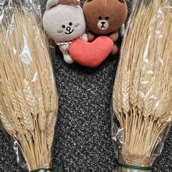 FloraDec Sales - Closeup of the wheat (for Thanksgiving decorations)