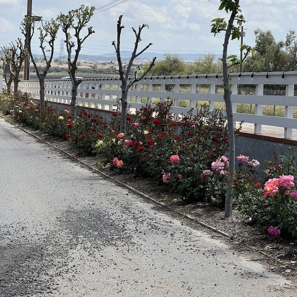 TOP 10 BEST Plant Nursery in Beaumont, CA - Updated 2026 - Yelp