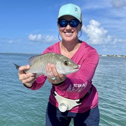 Tarpon Time
