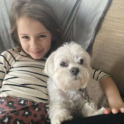 Sheppard Alternative Animal Care