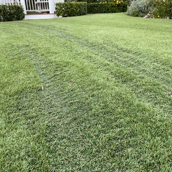 Sunturf - Burned SunTurf - Artificial Turf Near Me - Simi Valley, California