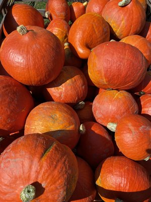 APPEL HAPPEL by null