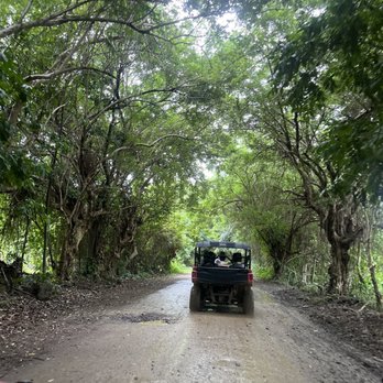 Carabali Rainforest Park - UTV ride - Horseback Riding Near Me - Luquillo, Puerto Rico